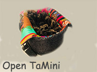 Open TaMini