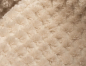 Preview: TeddyDot