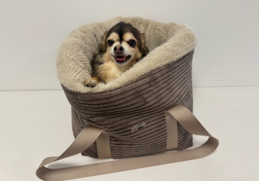 DreamyBag Teddy