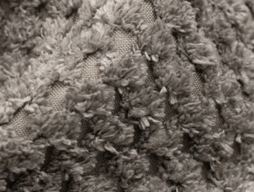 TeddyDot