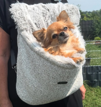 CoCoo "Deluxe"