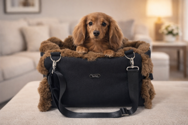 Preview: Amilia "NOA"