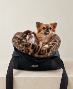 DreamyBag (Anzahlung)