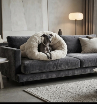Dreamy "Luxury Savannah"