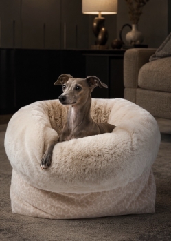 Dreamy "Luxury Savannah"