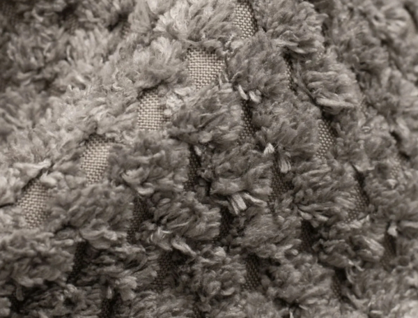 TeddyDot