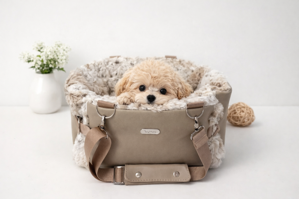 Amilia „ No 27 Snow Lynx“