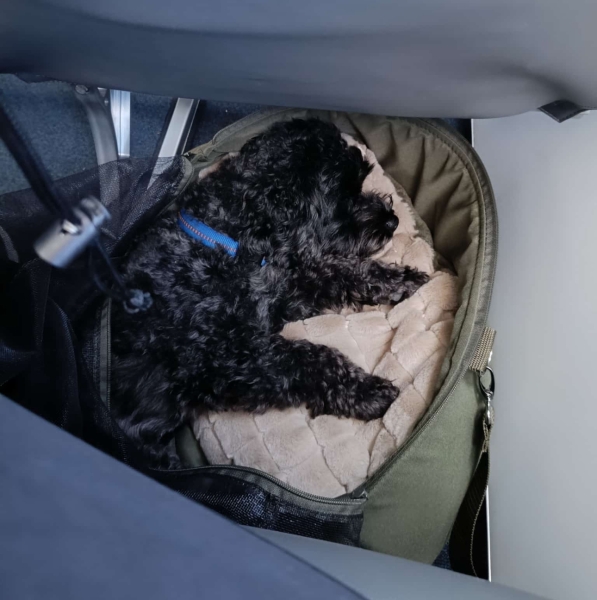 TraveLini Fly Air 500 g